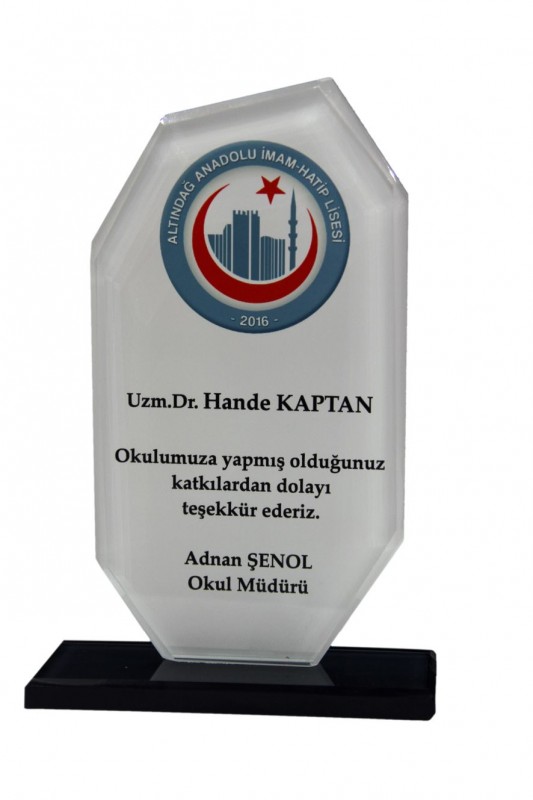 Kristal Plaket 30